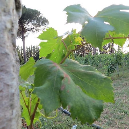 Agriturismo Occhineri Porto Cesareo Luaran gambar