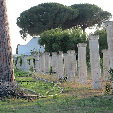 Agriturismo Occhineri Porto Cesareo Luaran gambar
