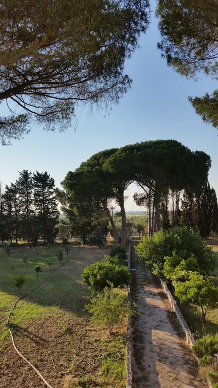 Agriturismo Occhineri Porto Cesareo Luaran gambar